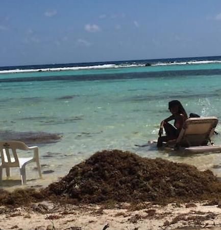 Casa Ari 2 Leilighet Playa del Carmen Eksteriør bilde